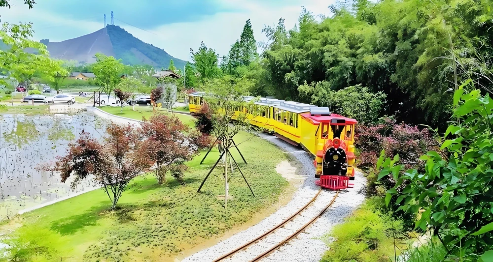 AI数字乡村-18个农场+观光小火车：浙江鲁家村如何从负债村逆袭成农旅标杆