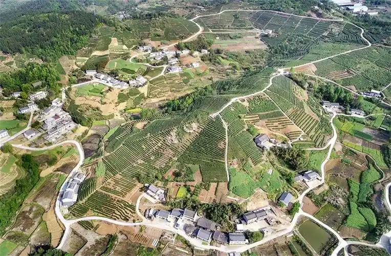 街道/乡镇-湖北竹山县宝丰镇“事事顺”智慧党建客户案例