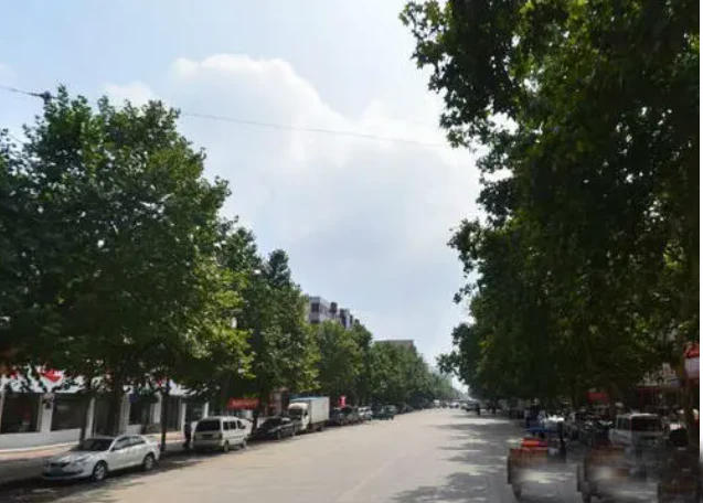 街道/乡镇-河南漯河天桥街道“先锋天桥”智慧党建客户案例