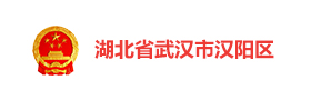 湖北武汉汉阳区社会治理平台