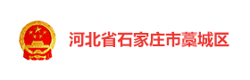 河北石家庄藁城区社会治理平台