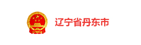 辽宁省丹东市社会治理平台