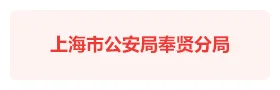 上海奉贤公安“藏蓝党建” 智慧党建