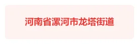 河南漯河龙塔街道“智慧龙塔” 智慧党建平台
