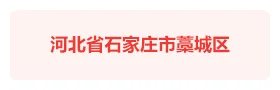 河北石家庄藁城区社会治理平台