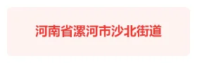 河南漯河沙北街道“精彩沙北”智慧党建