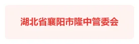 湖北襄阳隆中管委会智慧党建云平台