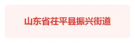 茌平振兴街道智慧振兴党建云平台