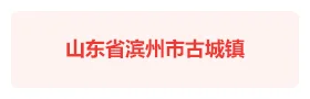 滨州古城镇“彩虹党建”智慧党建平台