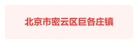 北京密云巨各庄镇“1+X+N”智慧党建
