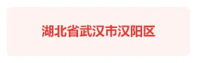 湖北武汉汉阳区社会治理平台