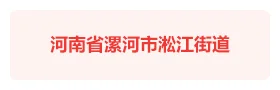 河南漯河淞江街道“先锋矩阵”智慧党建