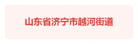 济宁越河街道“慧管事·享越河”智慧党建