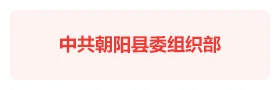 朝阳县“党群一张网”智慧党建平台