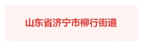 山东济宁“智慧柳行”智慧社区平台