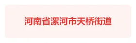 河南漯河天桥街道“先锋天桥”智慧党建