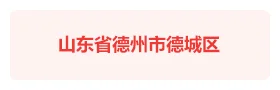 山东德州德城区智慧社区平台
