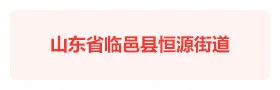 临邑县恒源街道智慧党建云平台